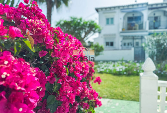 Revente - Bungalow - Torrevieja - Lago Jardin