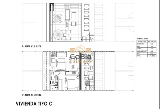 Nieuwbouw Woningen - Penthouse - Vera - Vera Playa