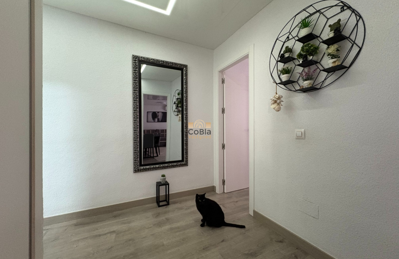 Resale - Apartments - Torrevieja - Centro