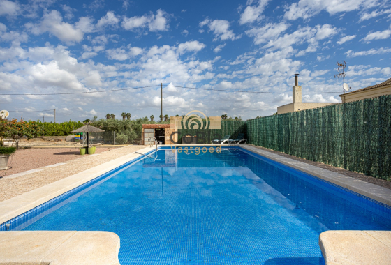 Herverkoop - Detached Villa - Elche - La Hoya