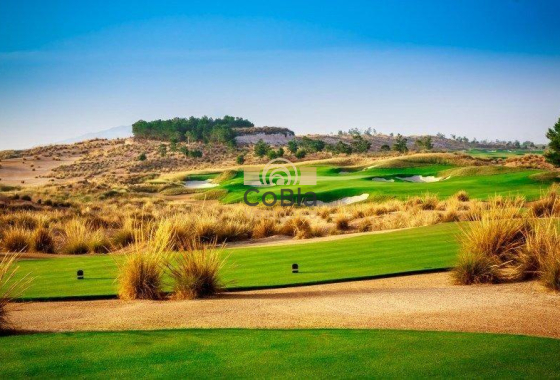 Nieuwbouw Woningen - Bungalow - Alhama De Murcia - Condado De Alhama