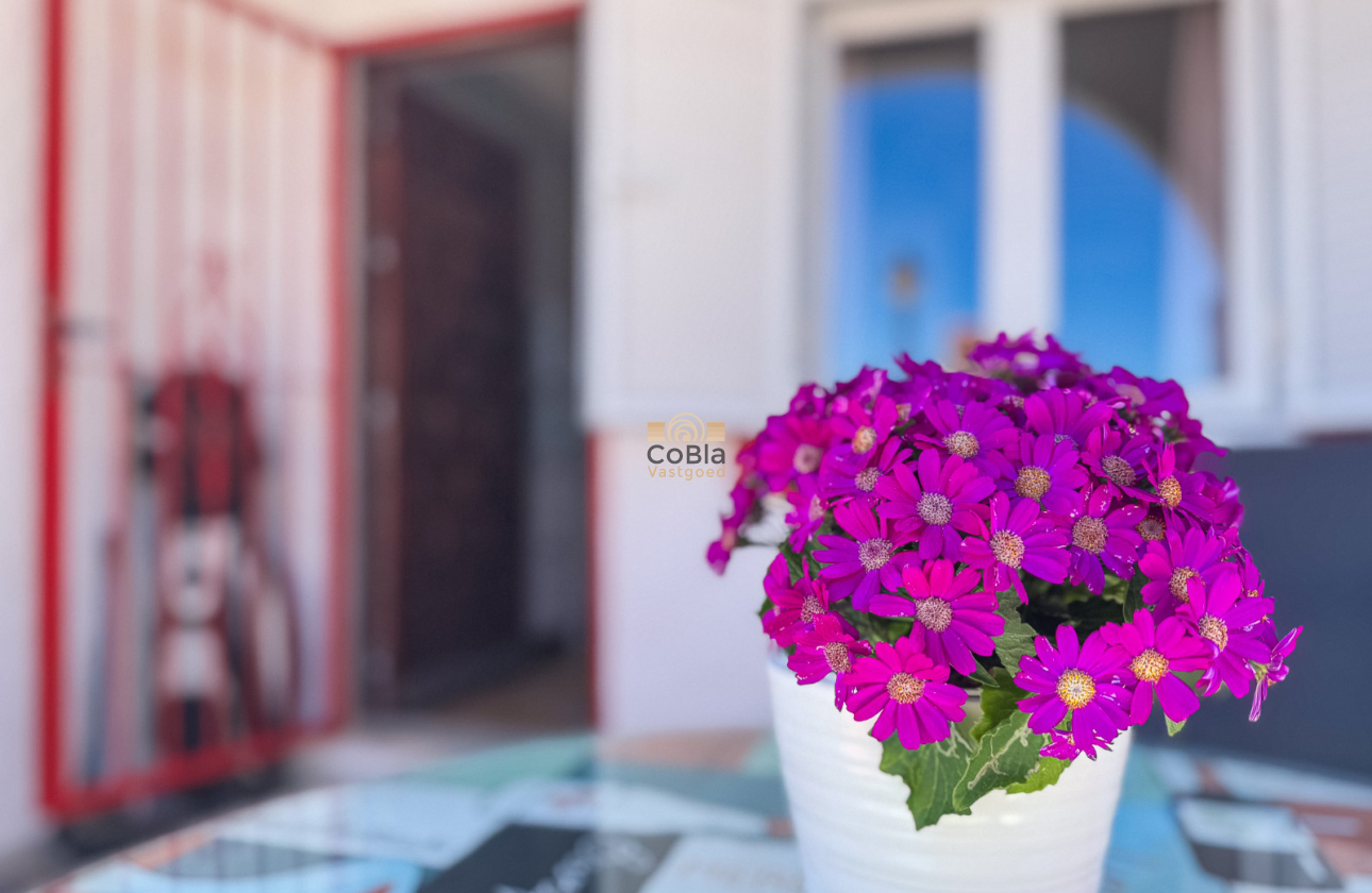 Herverkoop - Duplex apartment - Torrevieja - Cabo cervera