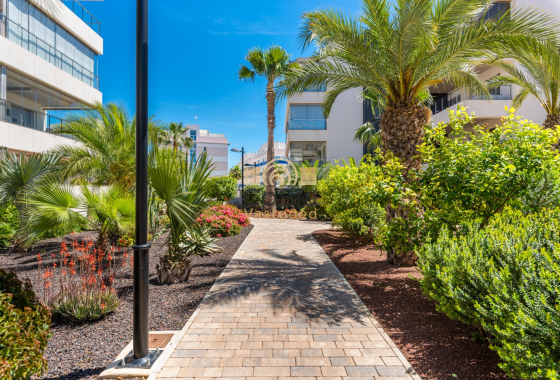 Herverkoop - Apartments - Orihuela Costa - Los Dolses