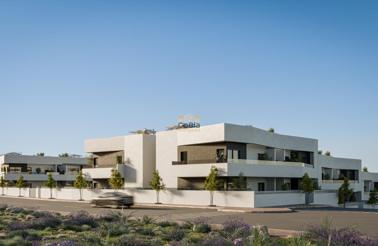 New Build - Bungalow - San Miguel de Salinas - Pueblo