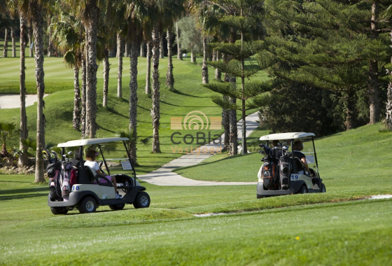 Nouvelle construction - Attique - Orihuela Costa - Lomas de Campoamor