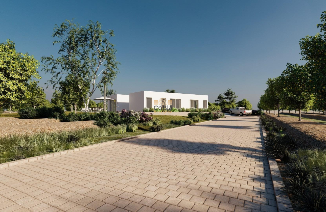 Neue Gebäude - Villa - Benejúzar - alta