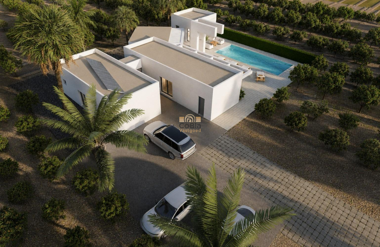 Neue Gebäude - Villa - Benejúzar - alta