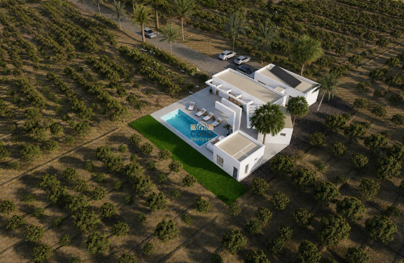 Neue Gebäude - Villa - Benejúzar - alta