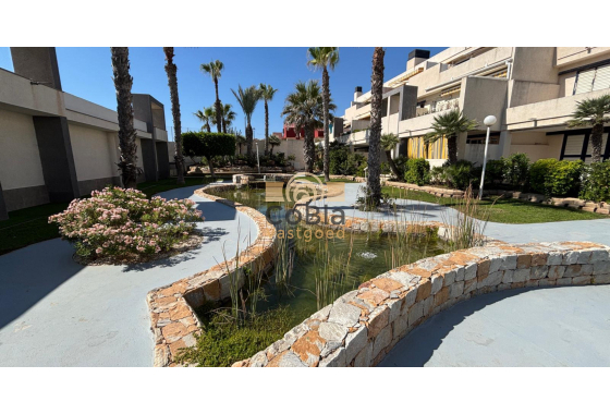 Herverkoop - Apartments - Torrevieja - La Mata