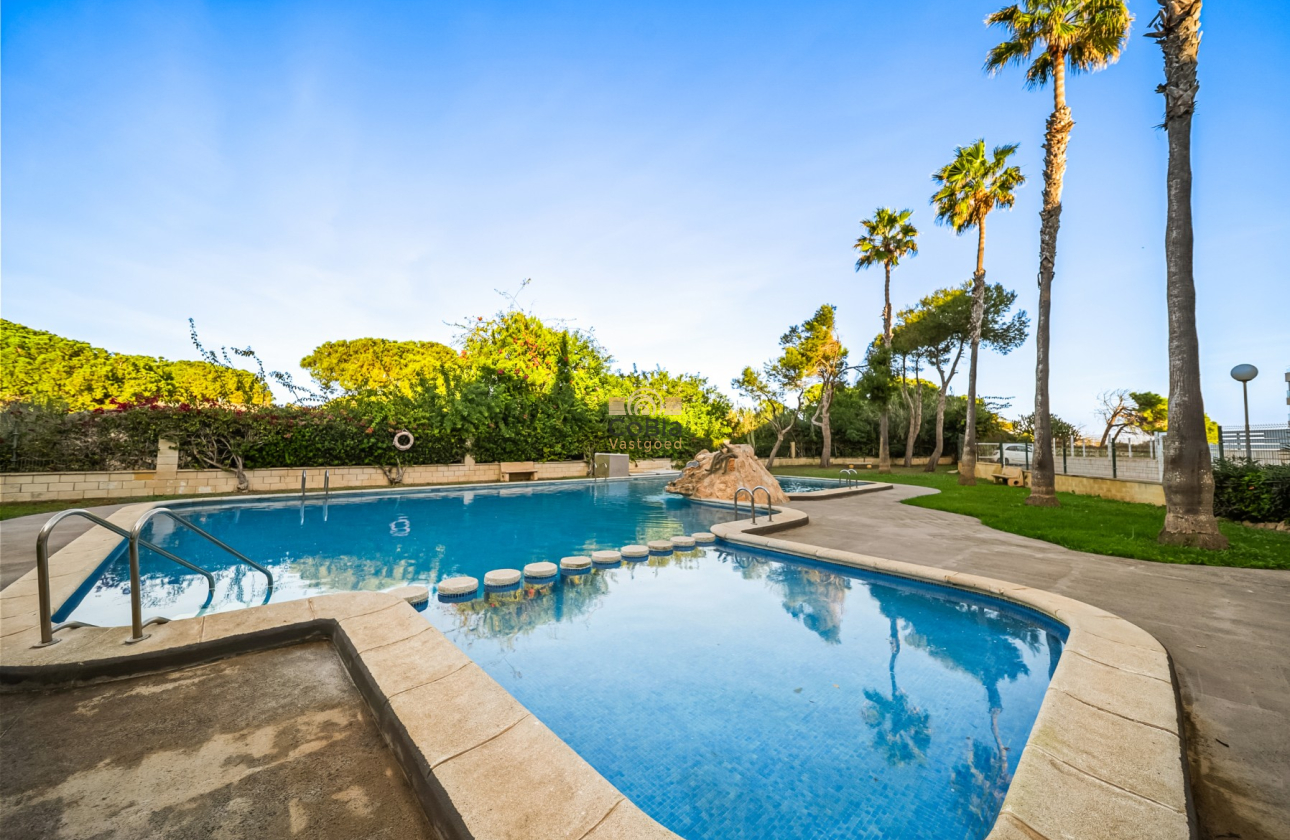 Herverkoop - Apartments - Torrevieja - La Mata