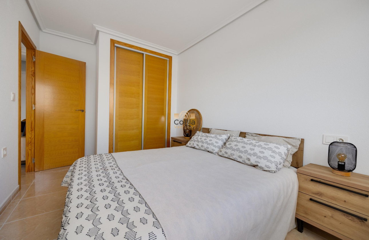New Build - Apartment - San Fulgencio - San Fulgencio Pueblo