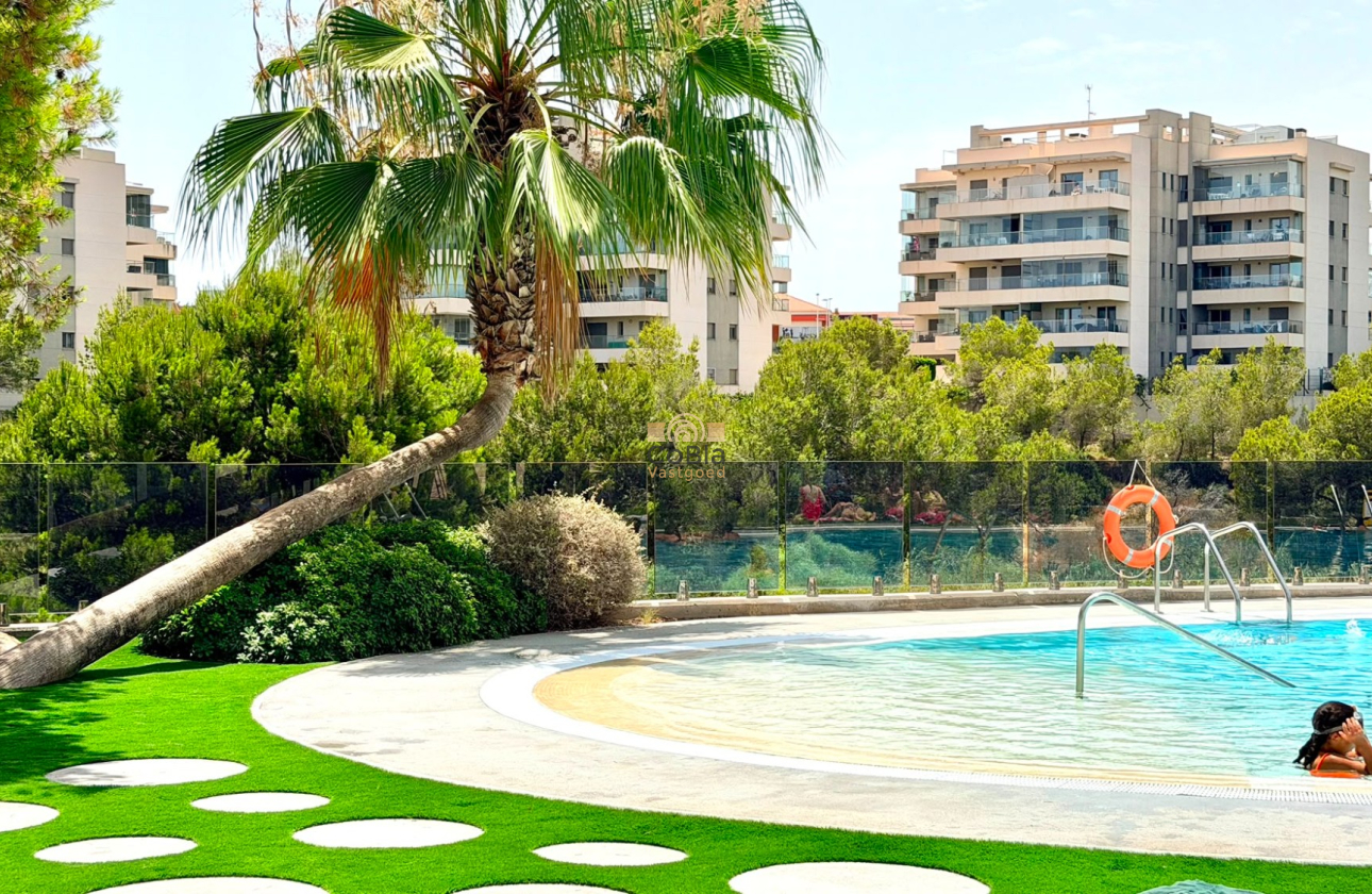 Herverkoop - Appartement - Orihuela Costa - La Zenia