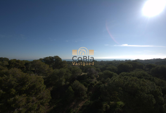 Nieuwbouw Woningen - Appartement - Guardamar del Segura - Pueblo