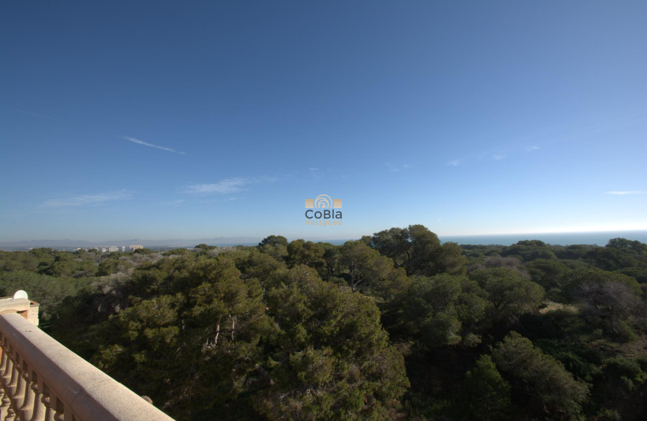 Nieuwbouw Woningen - Appartement - Guardamar del Segura - Pueblo
