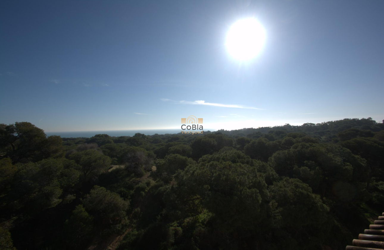 Nouvelle construction - Attique - Guardamar del Segura - Pueblo