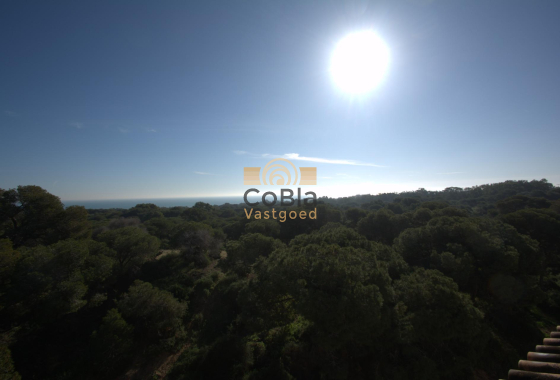 Nouvelle construction - Attique - Guardamar del Segura - Pueblo