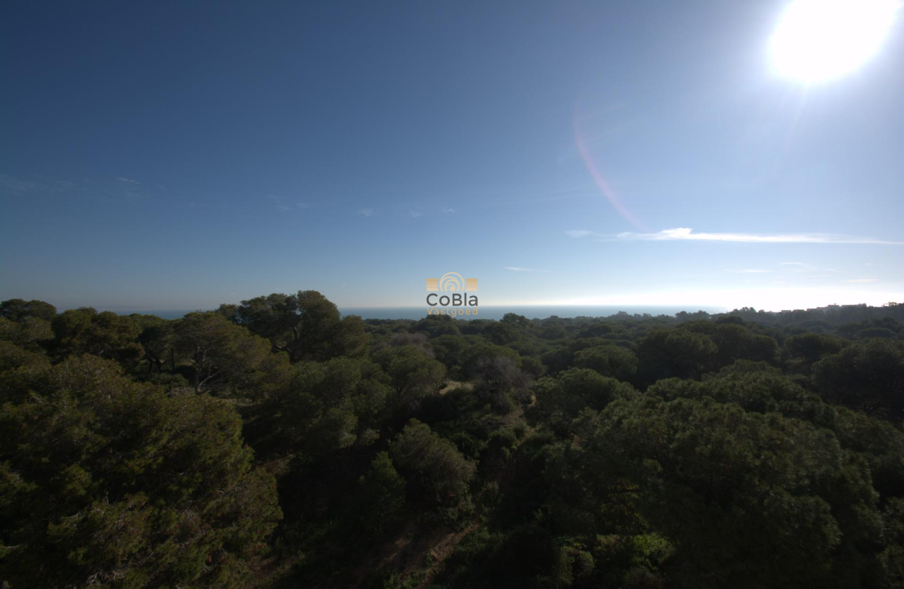 Nouvelle construction - Attique - Guardamar del Segura - Pueblo
