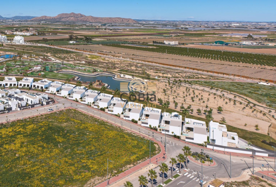Nieuwbouw Woningen - Villa - Torre Pacheco - Santa Rosalía