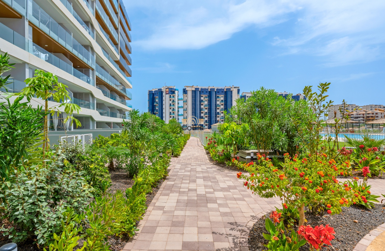 Herverkoop - Apartments - Orihuela Costa - Punta Prima