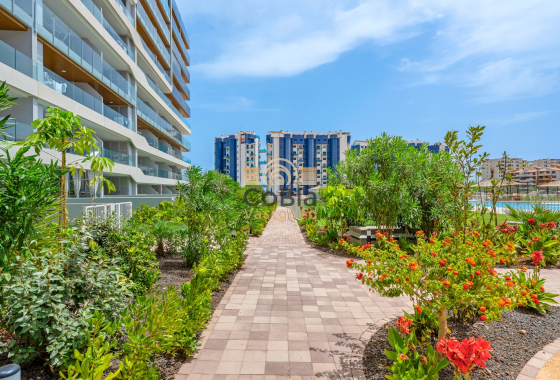 Herverkoop - Apartments - Orihuela Costa - Punta Prima