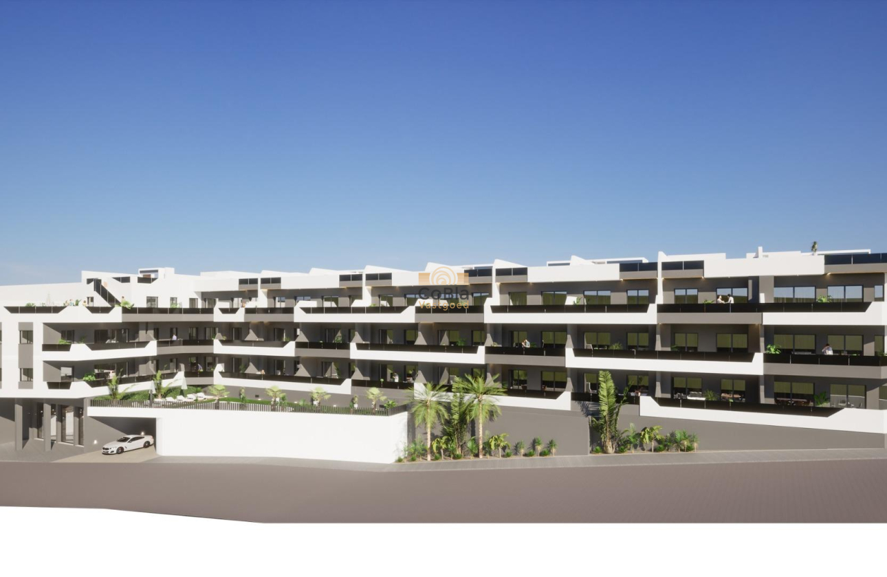 Nieuwbouw Woningen - Penthouse - Benijofar - Pueblo