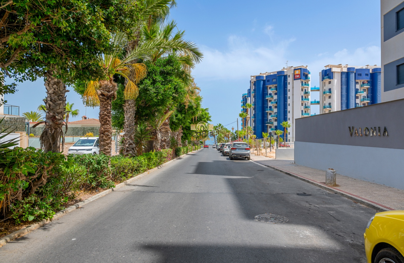 Herverkoop - Apartments - Orihuela Costa - Punta Prima