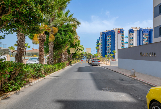 Herverkoop - Apartments - Orihuela Costa - Punta Prima
