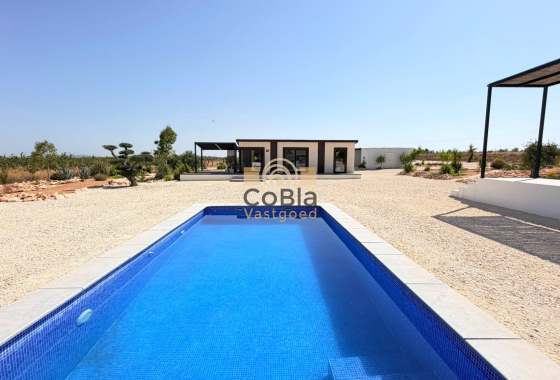 Herverkoop - Detached Villa - Pinoso