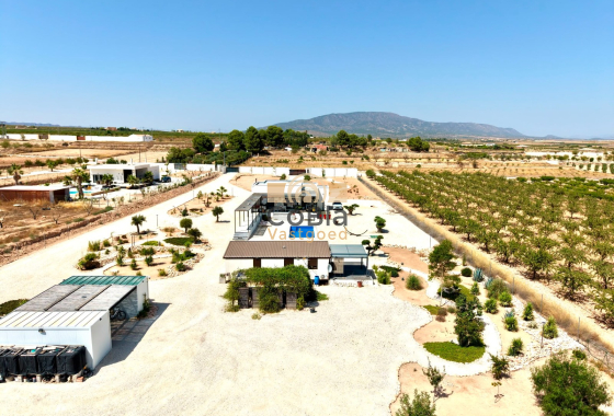Herverkoop - Detached Villa - Pinoso