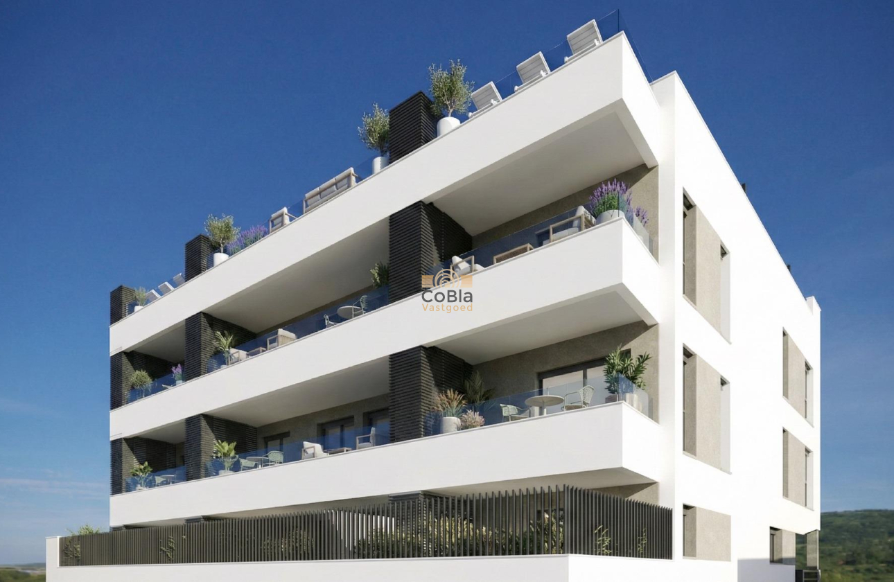 New Build - Penthouse - Benijofar - Pueblo
