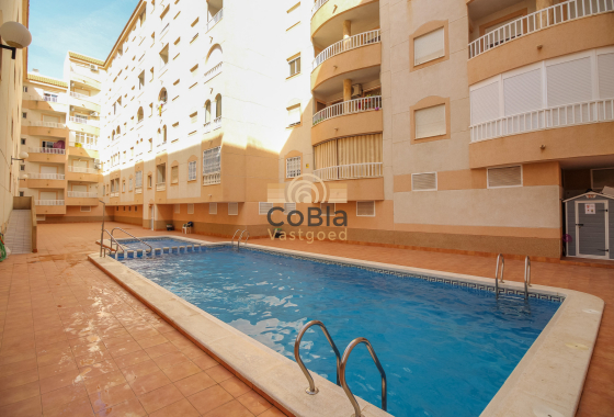 Wiederverkauf - Apartment - Torrevieja - El Molino