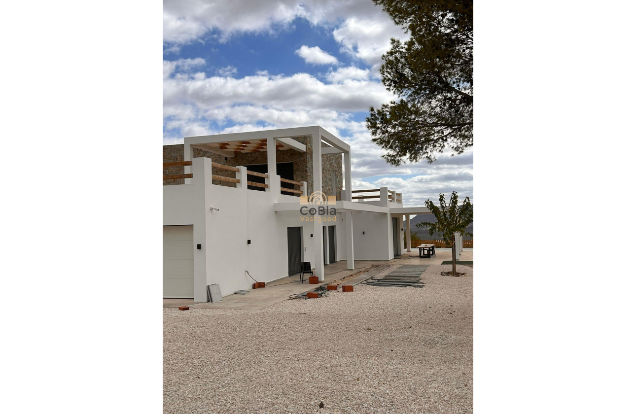 Nouvelle construction - Villa - Pinoso - Casas Pastor