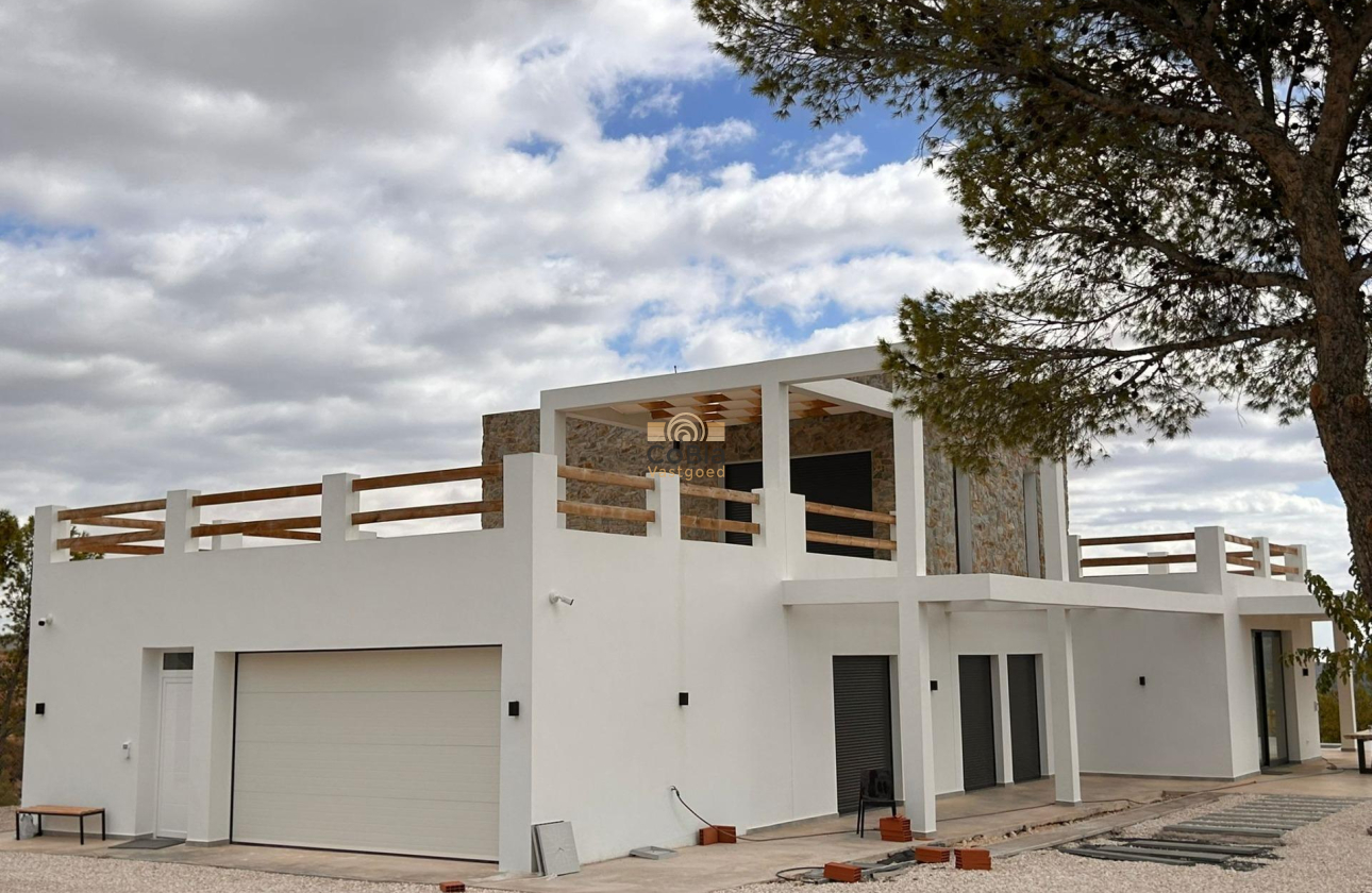 Nouvelle construction - Villa - Pinoso - Casas Pastor