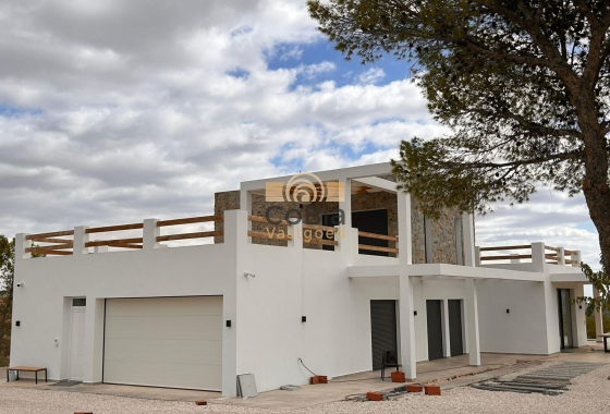 Nouvelle construction - Villa - Pinoso - Casas Pastor