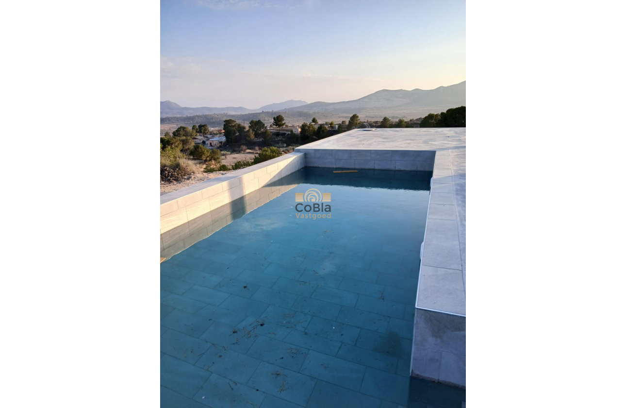 Nouvelle construction - Villa - Pinoso - Casas Pastor