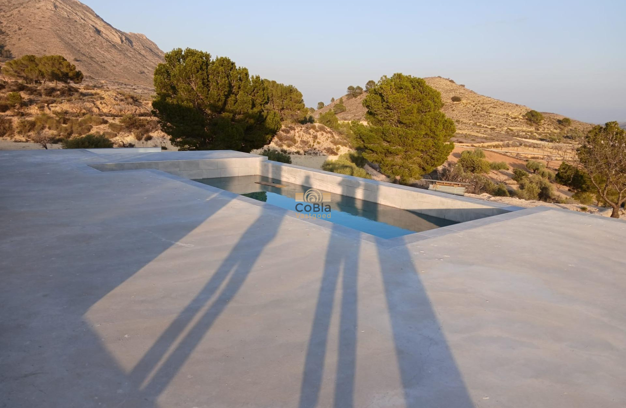 Nouvelle construction - Villa - Pinoso - Casas Pastor