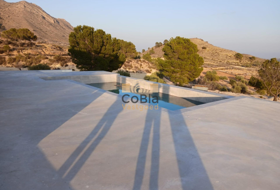 Nouvelle construction - Villa - Pinoso - Casas Pastor
