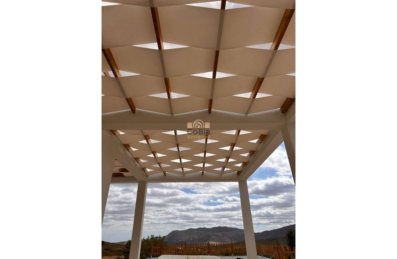 Nouvelle construction - Villa - Pinoso - Casas Pastor