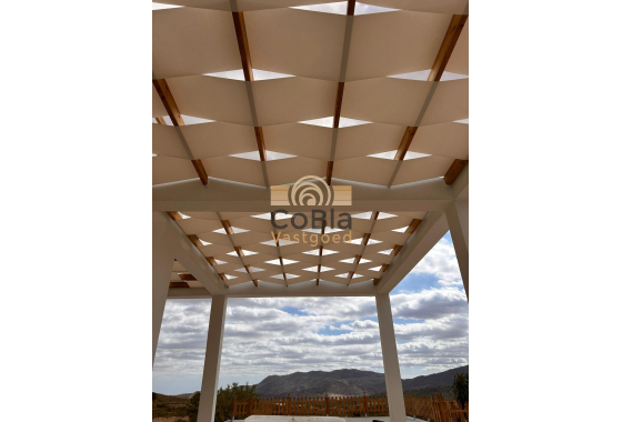 Nouvelle construction - Villa - Pinoso - Casas Pastor