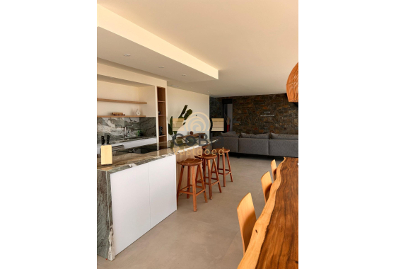 Nouvelle construction - Villa - Pinoso - Casas Pastor