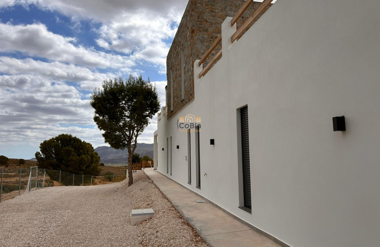 Nouvelle construction - Villa - Pinoso - Casas Pastor