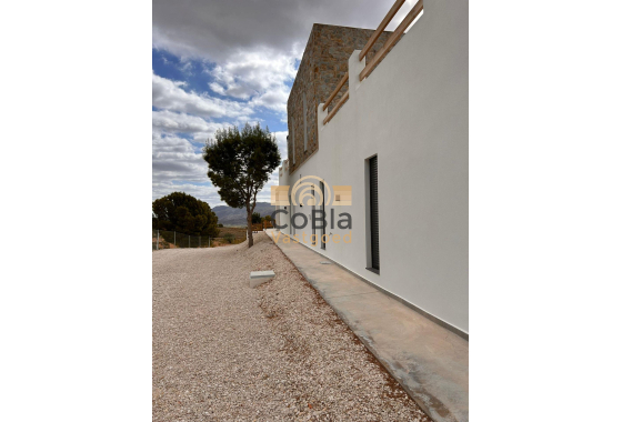 Nouvelle construction - Villa - Pinoso - Casas Pastor