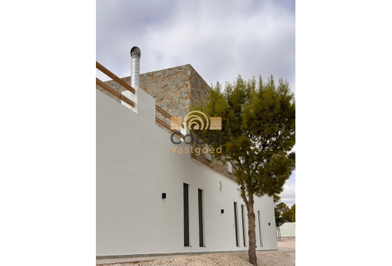 Nouvelle construction - Villa - Pinoso - Casas Pastor