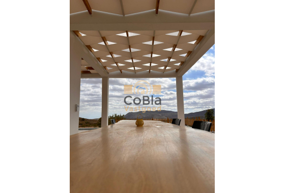 Nouvelle construction - Villa - Pinoso - Casas Pastor
