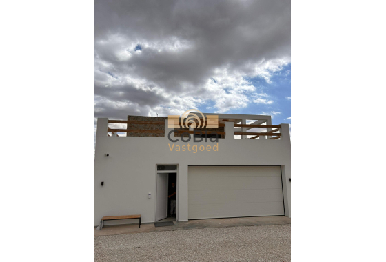 Nouvelle construction - Villa - Pinoso - Casas Pastor