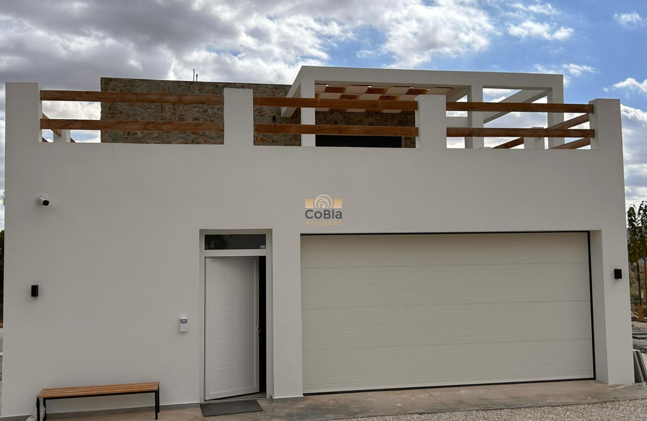 Nouvelle construction - Villa - Pinoso - Casas Pastor