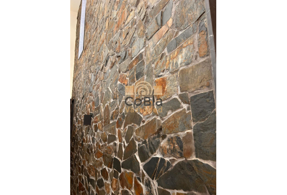 Nouvelle construction - Villa - Pinoso - Casas Pastor