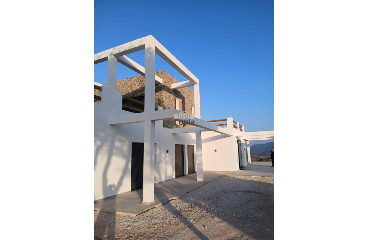 Nouvelle construction - Villa - Pinoso - Casas Pastor