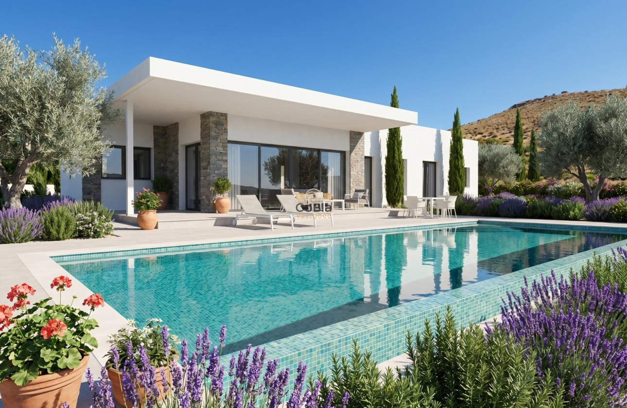 New Build - Villa - Pinoso - Casas Pastor