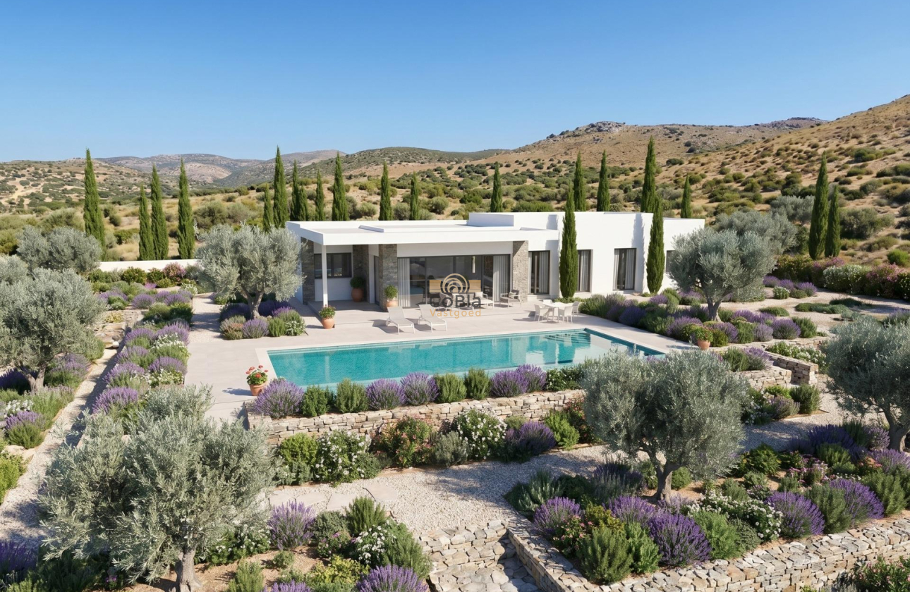 New Build - Villa - Pinoso - Casas Pastor